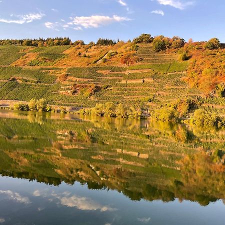 Neue Loft Im Alten Kelterhaus - Urlaub Im Wein- Und Ferienort Bekond エクステリア 写真
