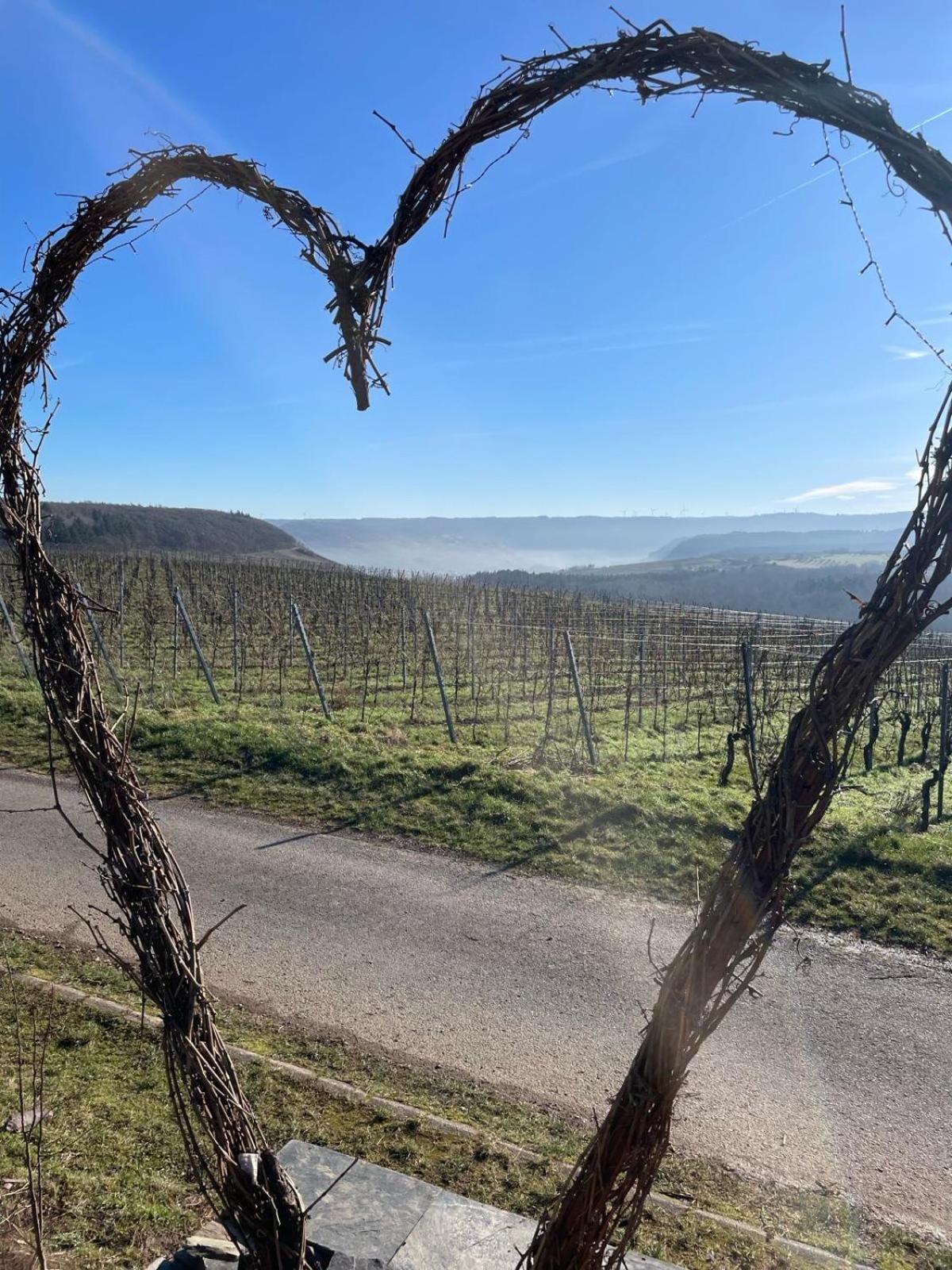 Neue Loft Im Alten Kelterhaus - Urlaub Im Wein- Und Ferienort Bekond エクステリア 写真