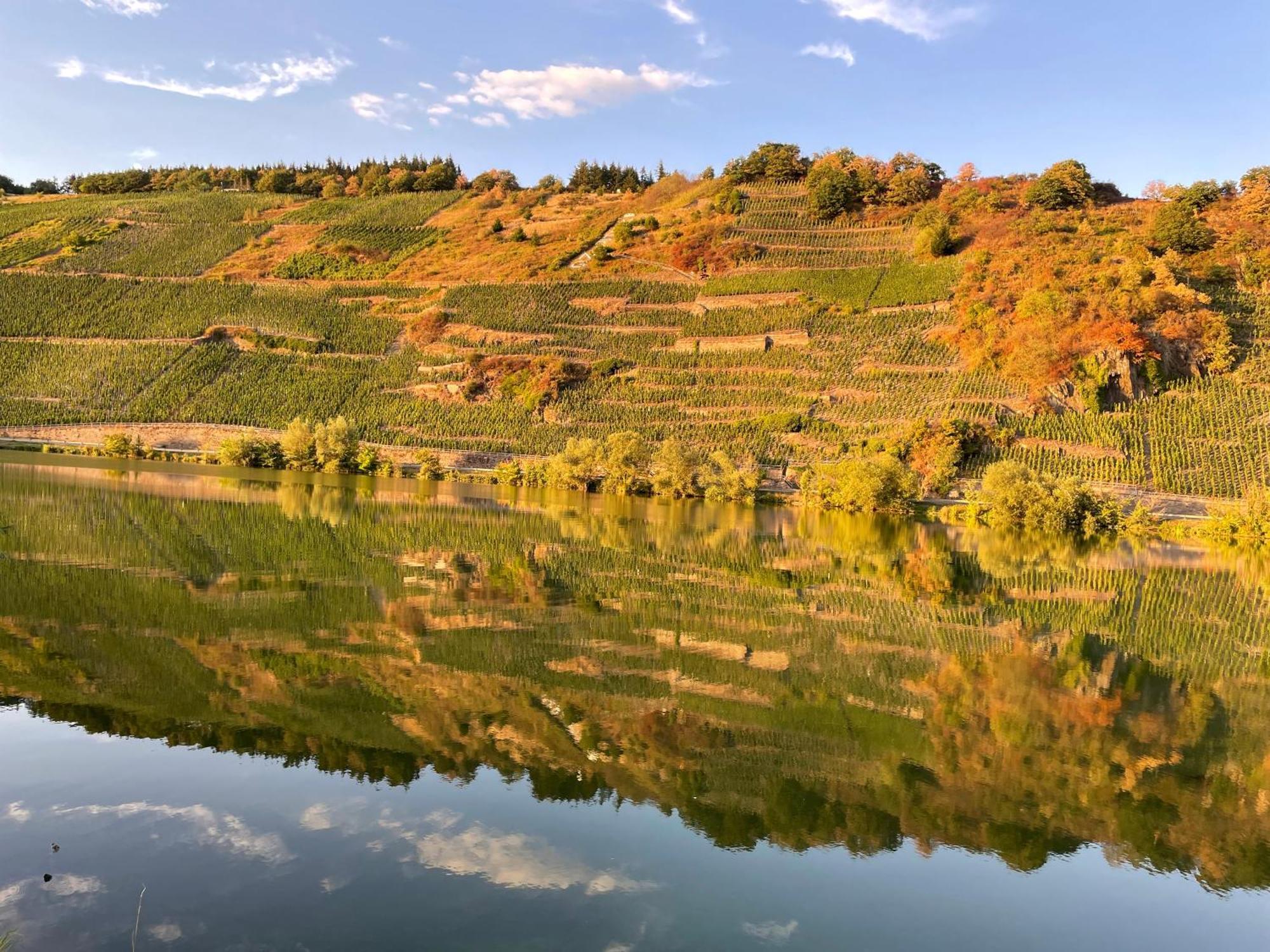 Neue Loft Im Alten Kelterhaus - Urlaub Im Wein- Und Ferienort Bekond エクステリア 写真