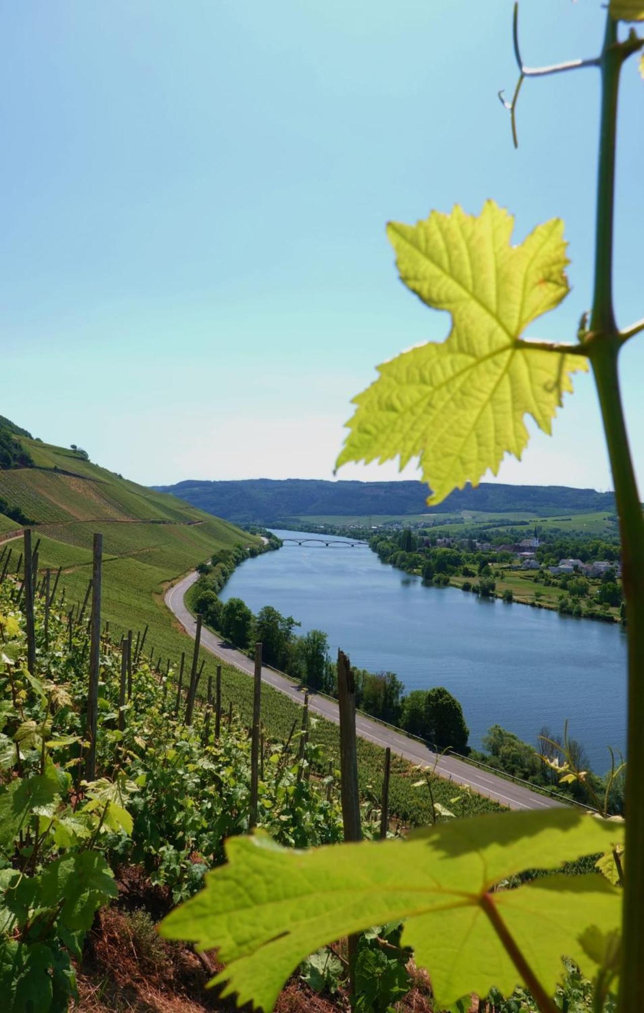 Neue Loft Im Alten Kelterhaus - Urlaub Im Wein- Und Ferienort Bekond エクステリア 写真